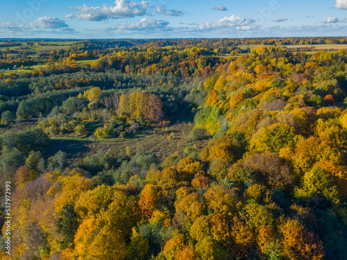 Aerial autumn landscape with colorful maple trees