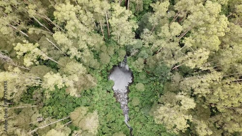 Drone arial over waterfall rising and turning  while looking down with trees and ferns all around during summer on a sunny day photo