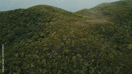 Drone aerial over tropical forest island panning up while in a cloud photo