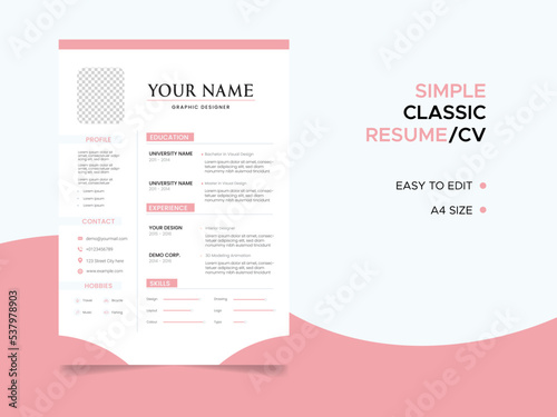 Resume template. CV professional or designer jobs resumes. Work in best corporate. Professional job hiring list, business work hr interview document vector illustration