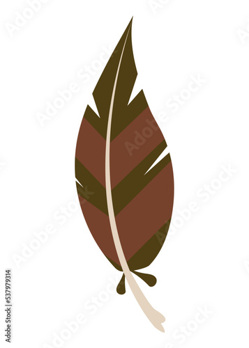turkey brown feather