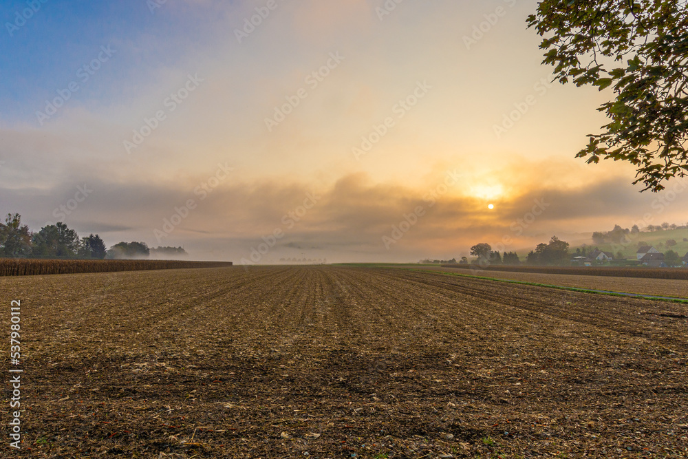 Sonnenaufgang im goldenen Herbst mit Feld und Bäumen Sonnenaufgang im goldenen Herbst mit Feld und Bäumen