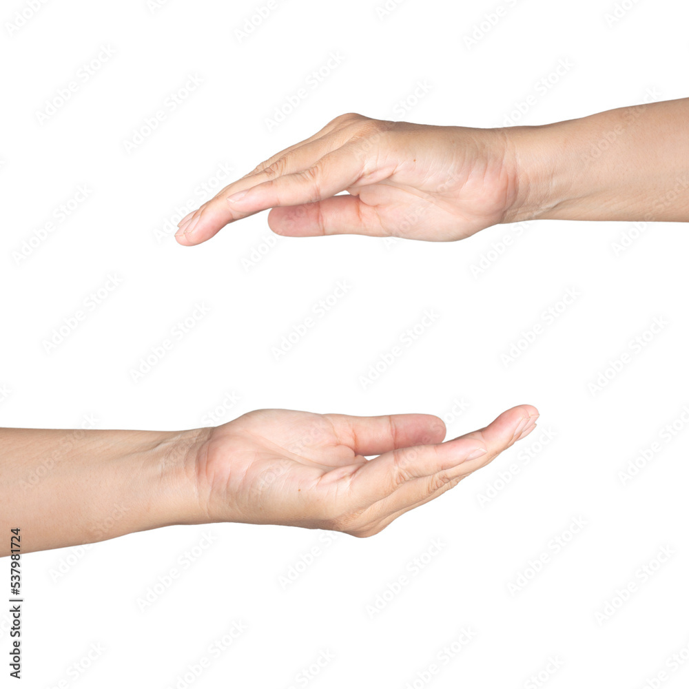 Closeup Beautiful female hand rise hand gesture Isolated give and seek on white background. Set of woman palms raised praise concept for people thumb nail solution. Closeup Beautiful female hand rise hand gesture Isolated give and seek on white background. Set of woman palms raised praise concept for people thumb nail solution.