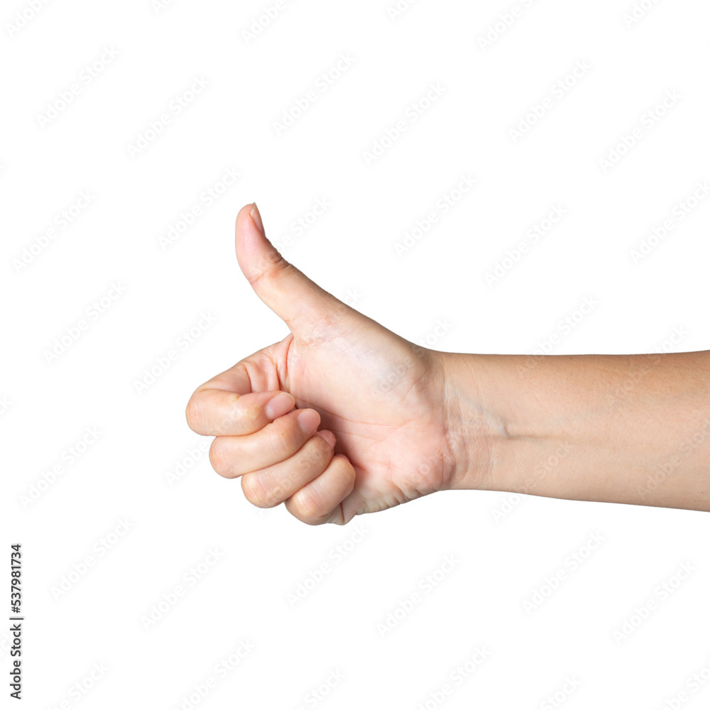 PNG Thumbs up female hand count from one to five gesture Isolated on blank white background. Set of woman palms raised fingers gesture numbers concept for people thumb nail solution. PNG Thumbs up female hand count from one to five gesture Isolated on blank white background. Set of woman palms raised fingers gesture numbers concept for people thumb nail solution.