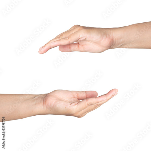 Closeup Beautiful female hand rise hand gesture Isolated give and seek on white background. Set of woman palms raised praise concept for people thumb nail solution.