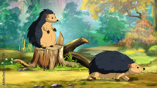 Hedgehogs in a forest illustration