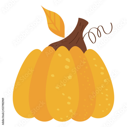 pumpkin vegetable autumn season