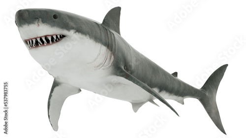 Great White Shark Isolated transparent. 3D Rendering
