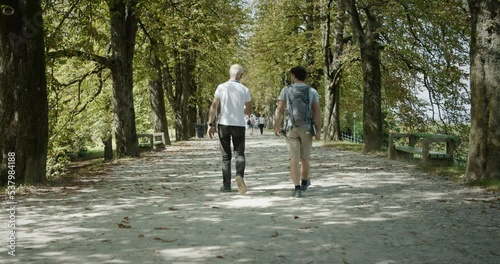 A young hiker is walkig in the avenue of trees with a older gentlemen to discus a hiking destination. photo