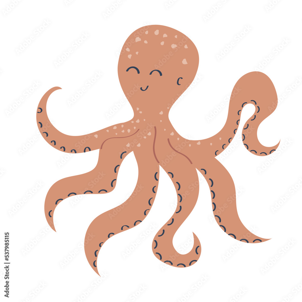 octopus sealife animal octopus sealife animal