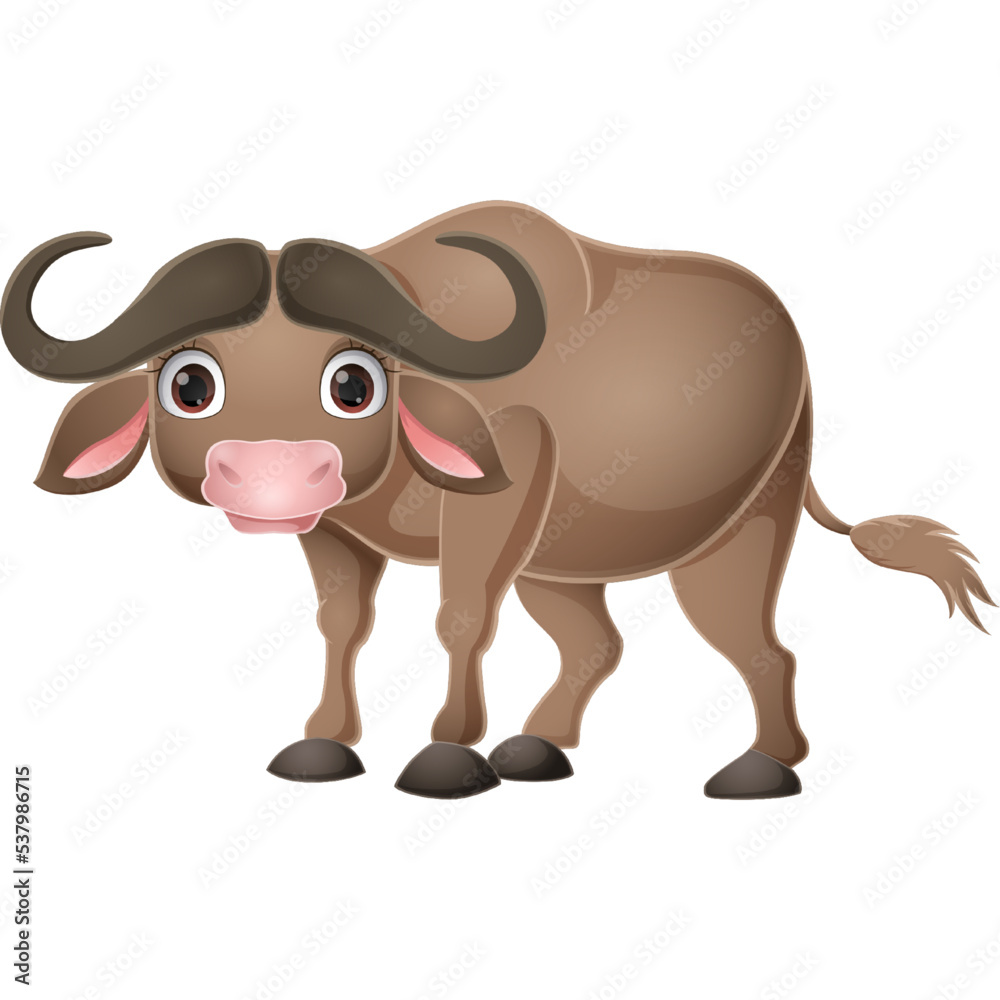 Cute buffalo cartoon on white background