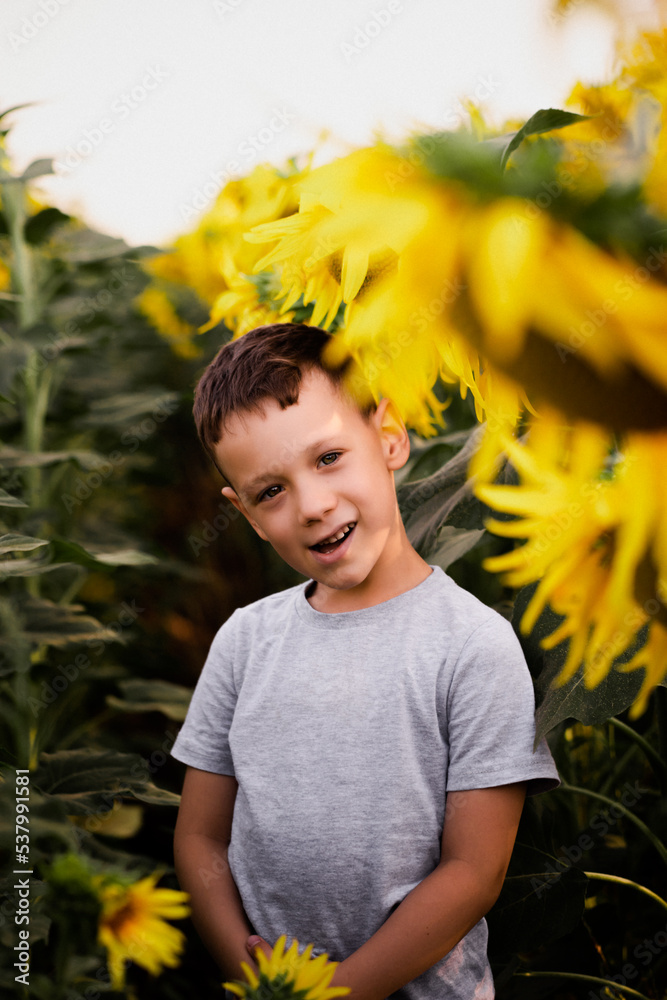happy boy with a sunflower in his hands, field with sunflowers, agriculture happy boy with a sunflower in his hands, field with sunflowers, agriculture