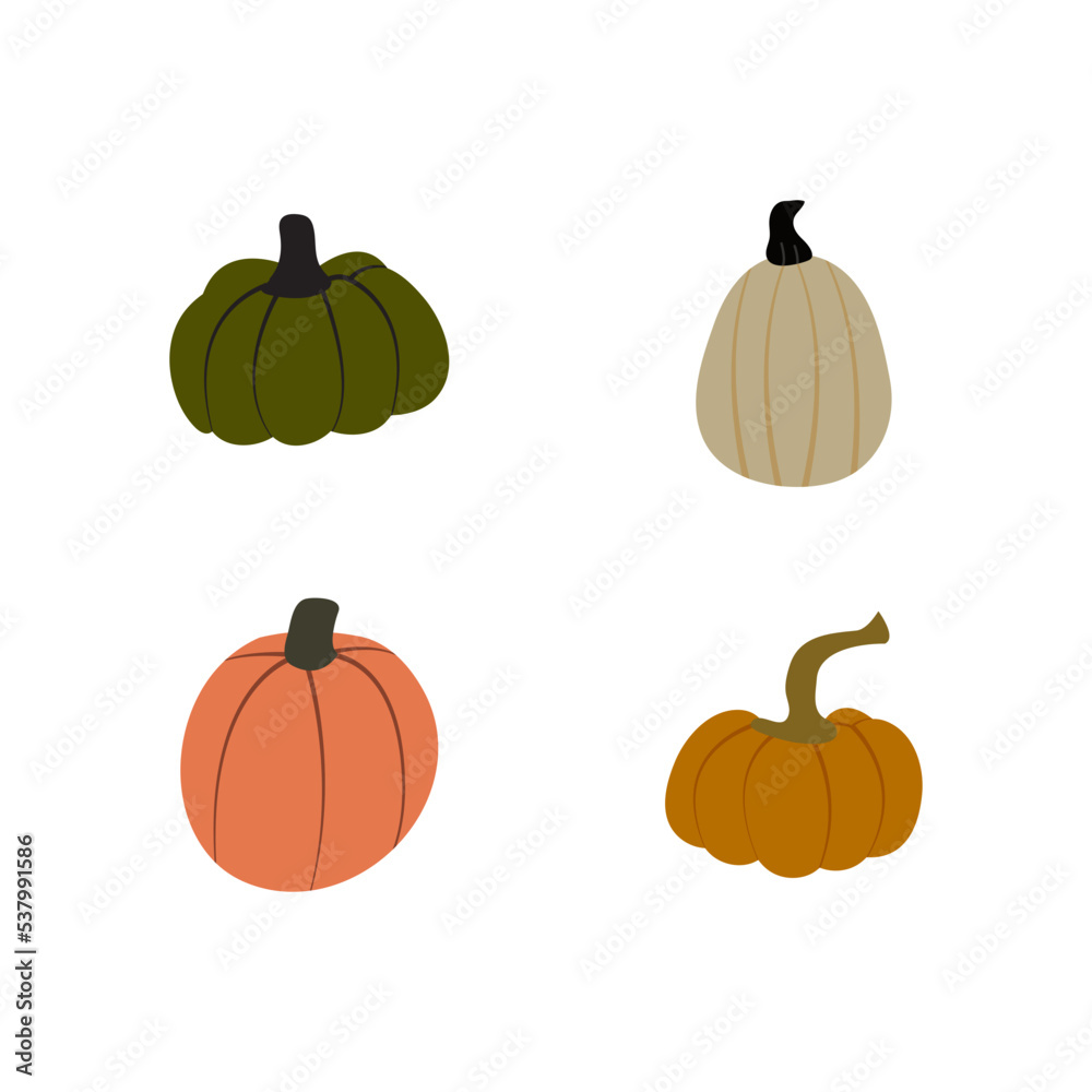 Very beautiful collection of Pumpkin Vectors in Flat Style for pectoral elements