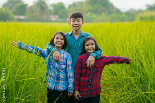 Children playing in rice field in countrysid, beautiful view nature background of rural