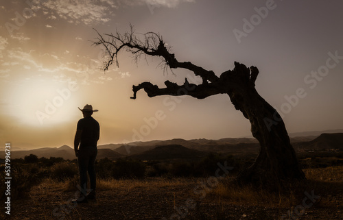 Silhouette of adult man standing on desert during sunset. Almeria  Spain