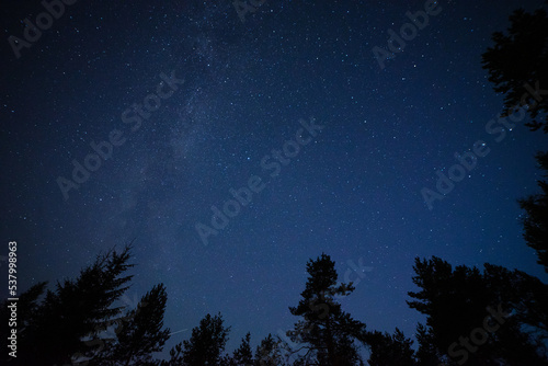 The starry sky in the forest. The Milky Way in the night sky. Look at the stars.