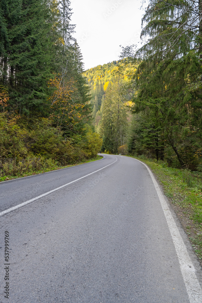 Landscape road in the Carpathians