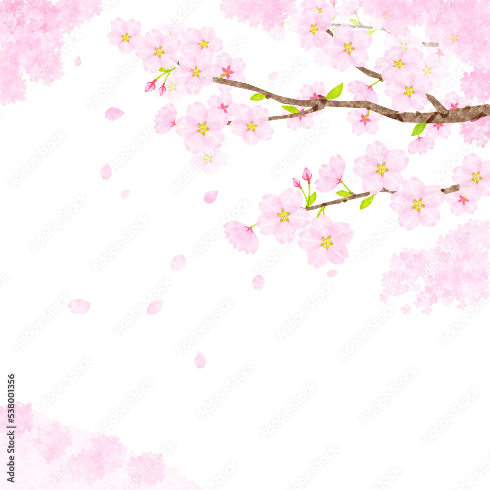 桜の枝　水彩、テクスチャー