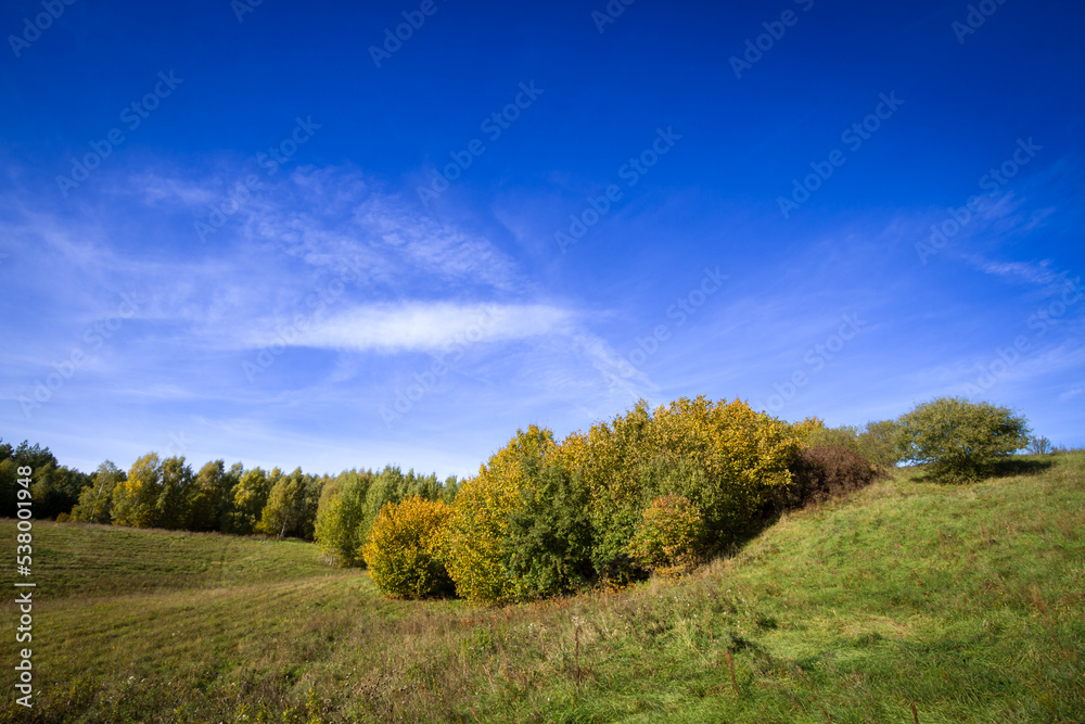 Landscape autumn field with colourful trees, autumn Poland, Europe and amazing blue sky with clouds, sunny day	