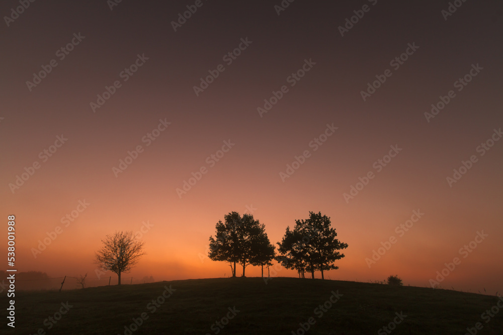 Landscape trees on the hill in sundown in dark warm sky, Poland Europe