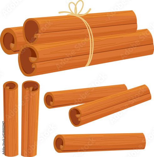 Cinnamon sticks on white background. Vector illustration