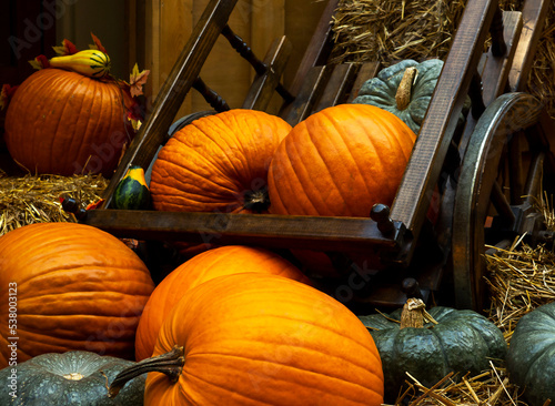 Autumn composition with pumpkins and other elements. Harvest, Thanksgiving, Halloween.