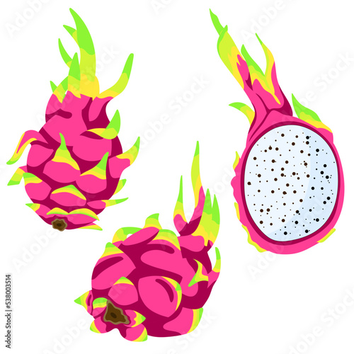 Tropical dragon fruit vector set of elements