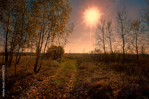 The setting sun against the background of the road and trees.