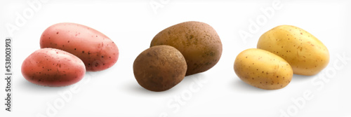 Realistic Potato Types Set