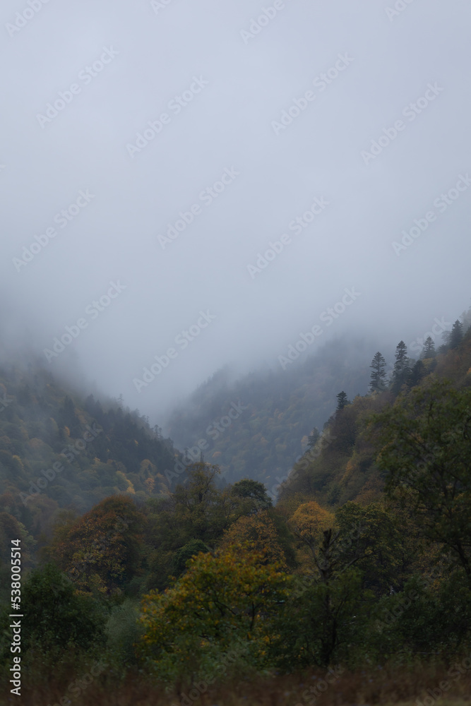 autumn and fog in the mountains. vertical photo. Photo wallpaper with mountain view, space for text autumn and fog in the mountains. vertical photo. Photo wallpaper with mountain view, space for text