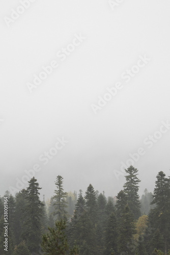 autumn and fog in the mountains. vertical photo. Photo wallpaper with mountain view, space for text