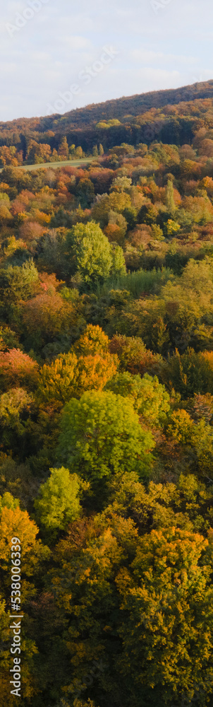 drone flight over colorful autumn landscape in october in lower austria near vienna forest drone flight over colorful autumn landscape in october in lower austria near vienna forest