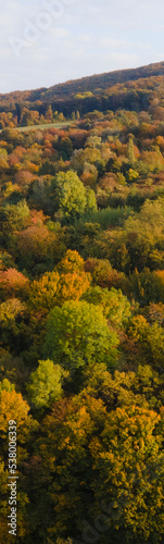 drone flight over colorful autumn landscape in october in lower austria near vienna forest