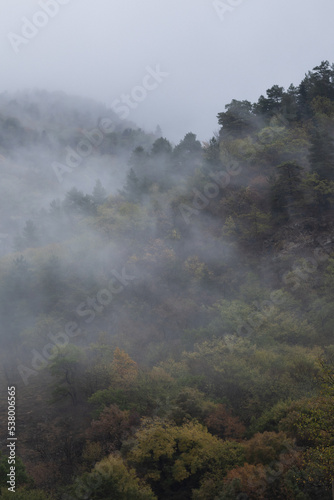 autumn and fog in the mountains. vertical photo. Photo wallpaper with mountain view  space for text