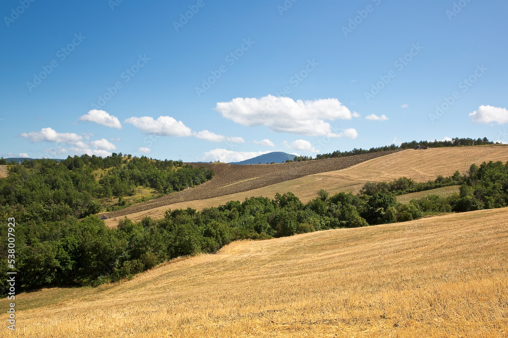 Beautiful tuscan countryside with cut grain hills and trees on background in summertime - Tuscany - Italy