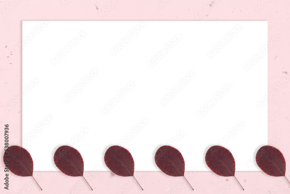 jesienny liść 14 background