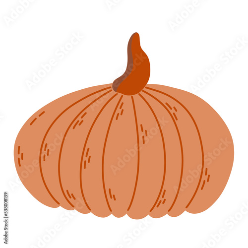 Vector orange pumpkin. Autumn vegetable. Funny veggie harvest illustration.