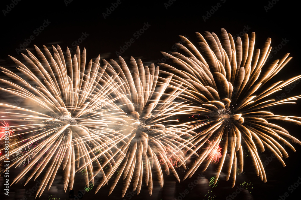 Obraz premium Amazing fireworks show in the dark sky.
