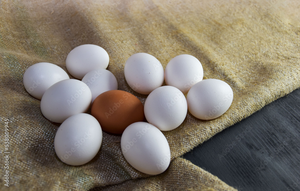 One brown egg among white eggs lies on burlap. A lone egg differs from the rest in that it stands out. The concept of leadership, the birth of an idea that is not like everyone else and standing out One brown egg among white eggs lies on burlap. A lone egg differs from the rest in that it stands out. The concept of leadership, the birth of an idea that is not like everyone else and standing out