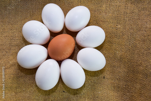 Nine chicken eggs on burlap, one egg is brown and the rest are white. Brown egg among white. The concept of individuality. White eggs are laid out around a brown one in the form of a flower.