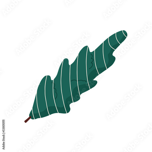 Christmas tree tied with a rope. Live pine packed for winter holidays. New Year's spruce without decorations. Flat vector illustration isolated on white background