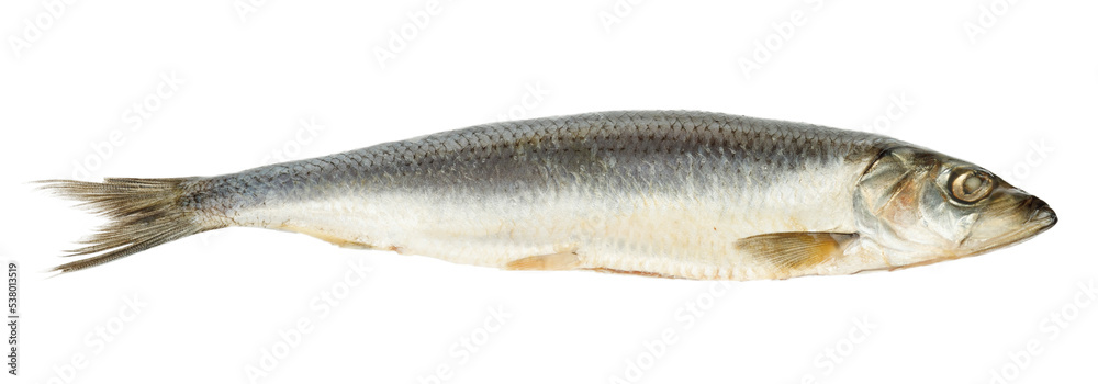 A whole salted herring is cut out on a white background, close-up. A whole salted herring is cut out on a white background, close-up.