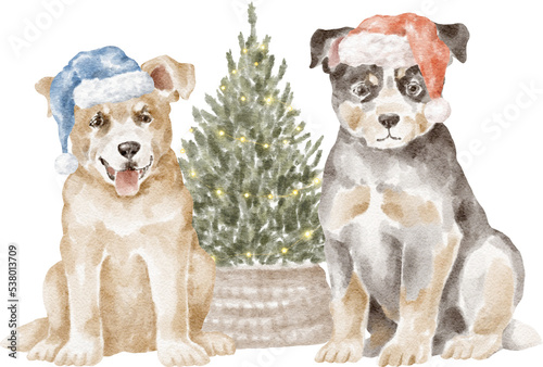 Australian cattle dogs with Christmas tree