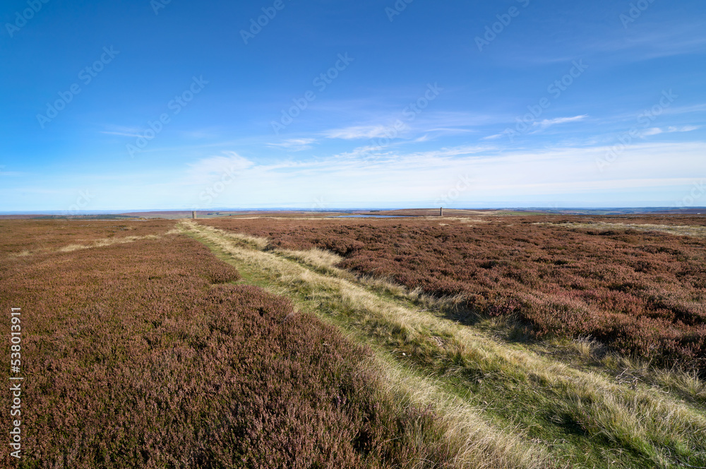 Remote heather moors near Blanchland in Northumberland near the County Durham border in England, UK.