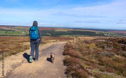 A hiker and their dog walking along a dirt trail, path that runs through moorland above Blanchland on a sunny day, England, UK. photo