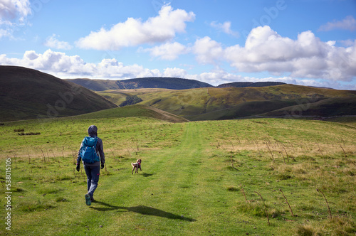A female hiker and their dog descending from Windy Gyle towards Trows in the Cheviot Hills, Northumberland, England, UK.