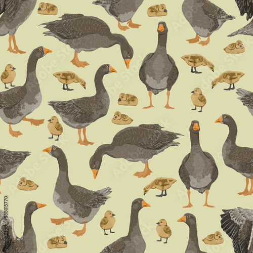 Seamless pattern with Greylag goose. The gray domestic goose stands, looks for food, takes off and swims. Geese and goslings. Farm Birds. Realistic Vector print