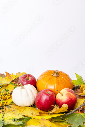 still life with leaves and fruits