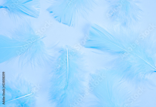 Blue feathers on a blue background, fashionable, delicate,creative background. the concept of a party or birthday in blue colors,