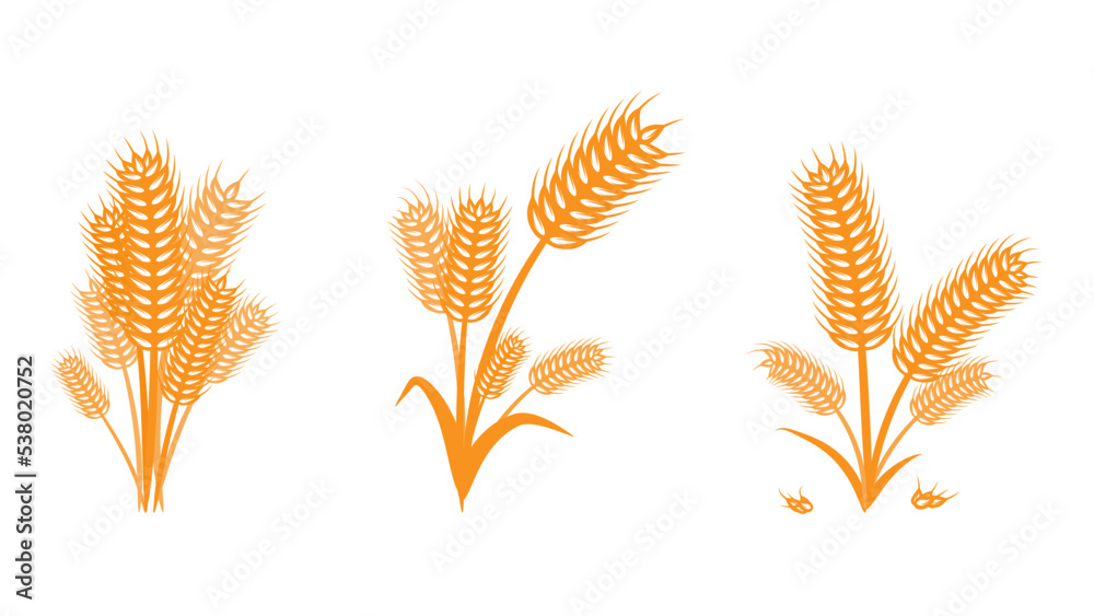 Wheat logo design in abstract style, organic sign symbol. Wheat logo design in abstract style, organic sign symbol.
